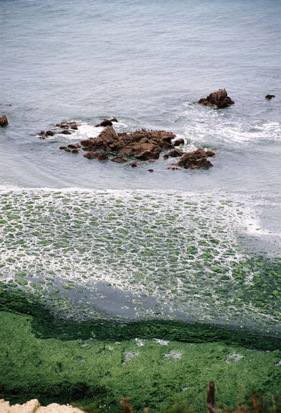 Bay of Saint-Brieuc (2)