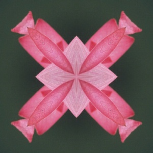 Kal�idoscope (2) 