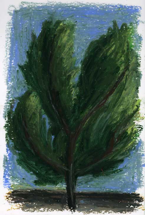 Arbre