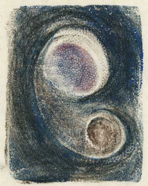 Swirls