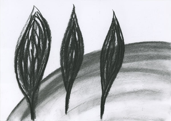Trois arbres