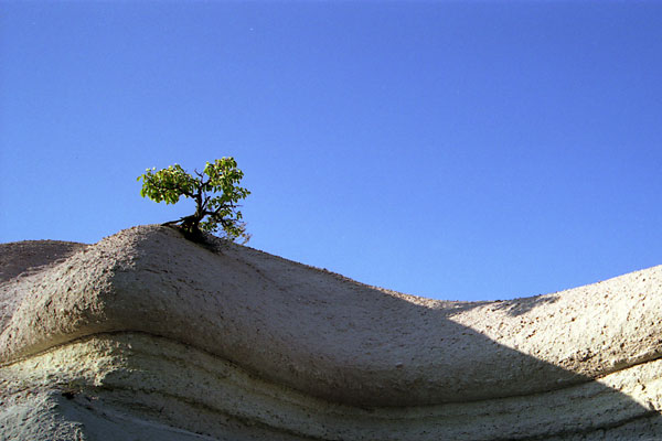 Cappadocia, 2004