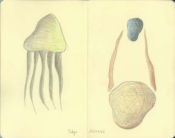 Octopus and asteroids